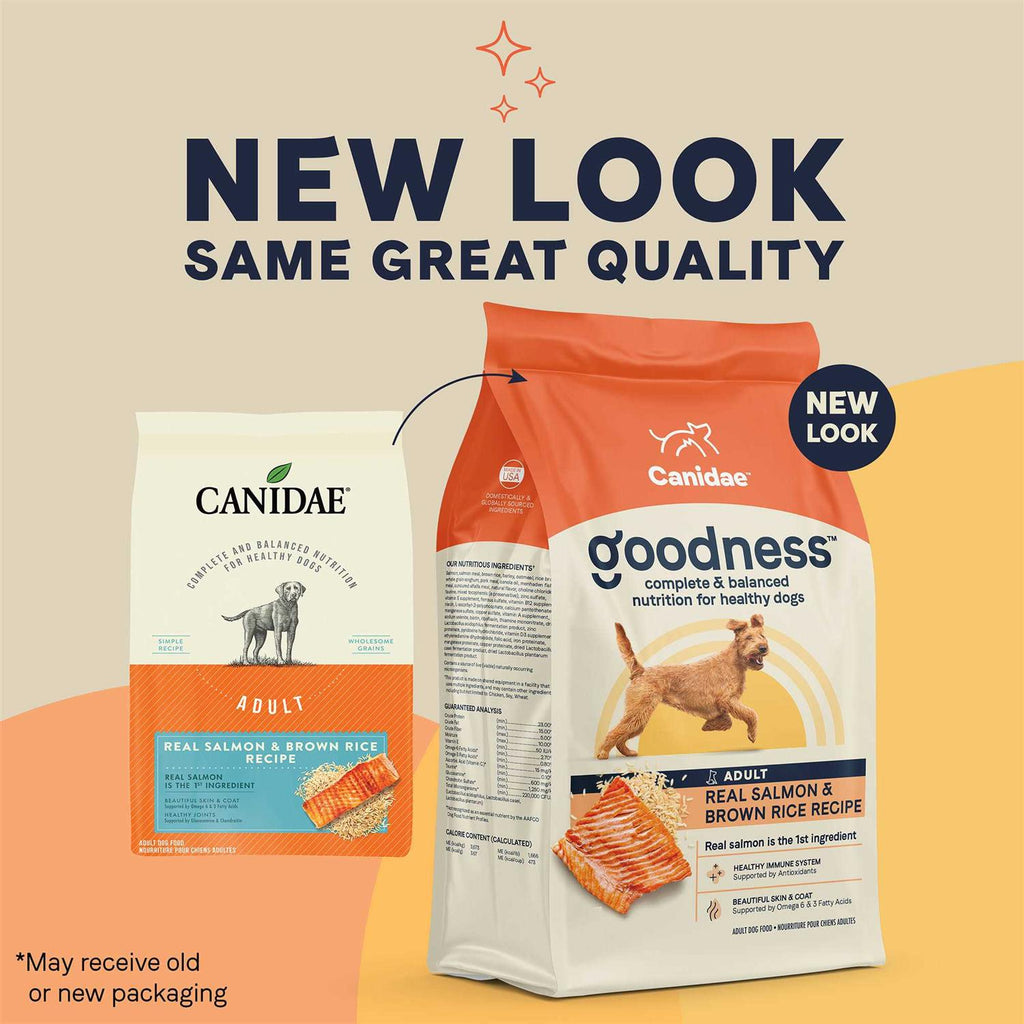 Salmon & Brown Rice Dry Dog Food O16765