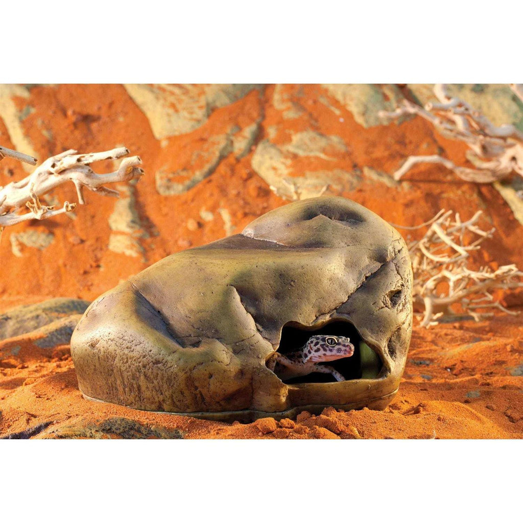 Gecko Cave L2695