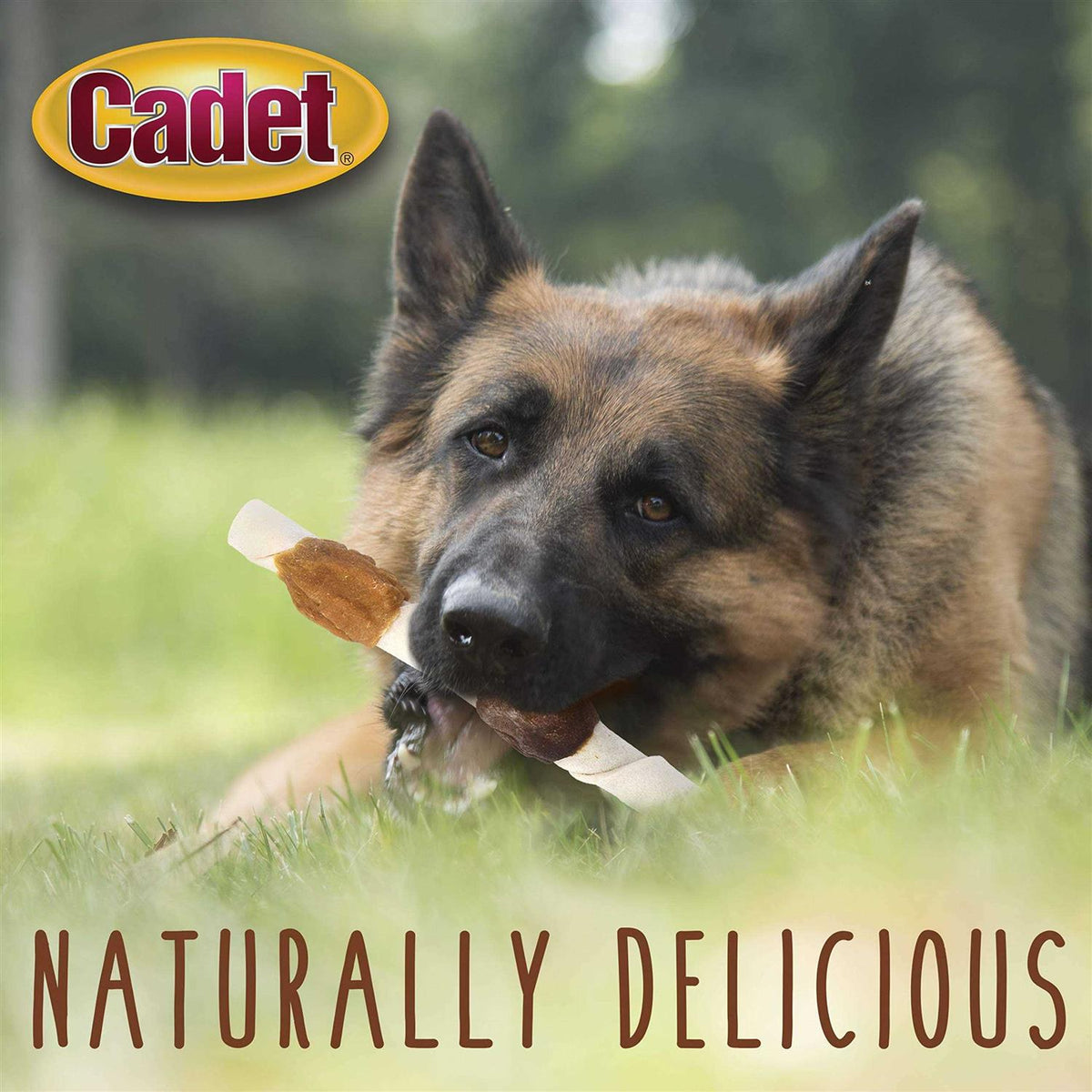 Rawhide Dog Treats S43245