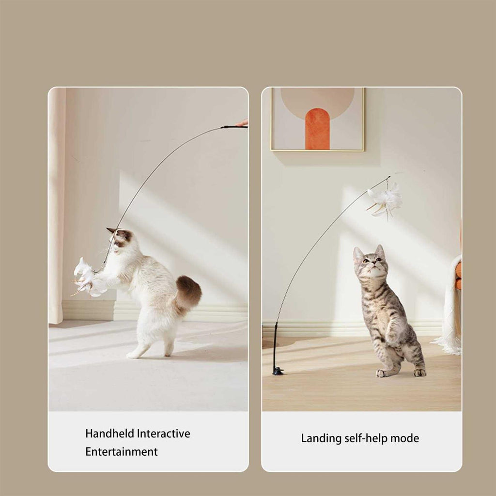 Cat Toy Wand Interactive Toys T433279