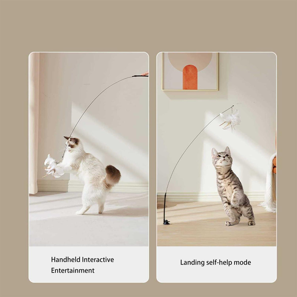 Cat Toy Wand Interactive Toys T433279