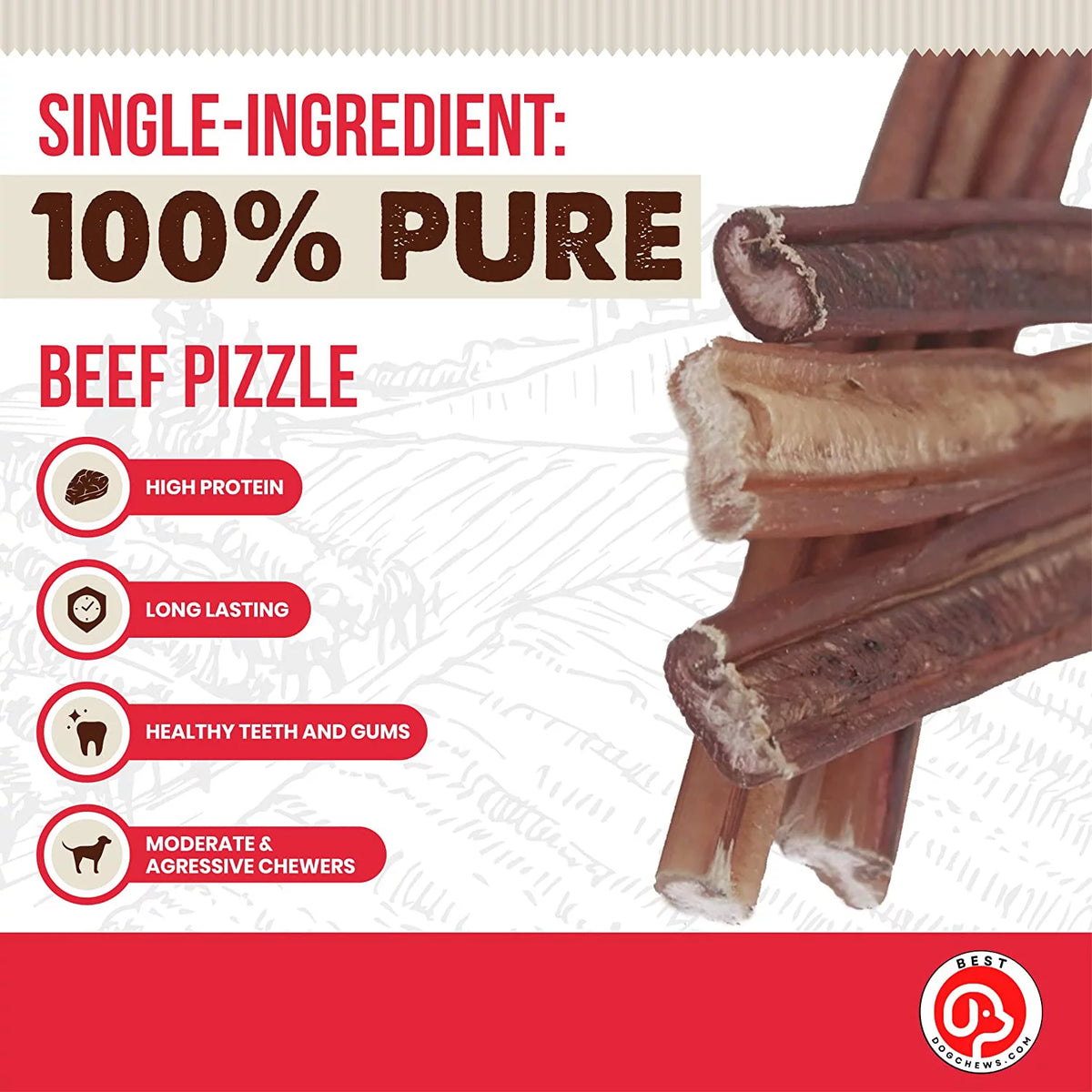 12 Inch 6 Count All Natural Grain Free Rawhide Free Beef Dog Chews D641