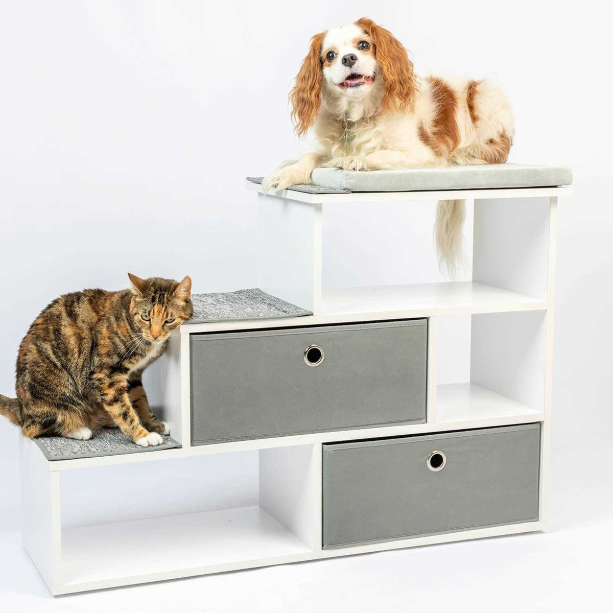 Pet Step Window Perch Bookshelf J46056