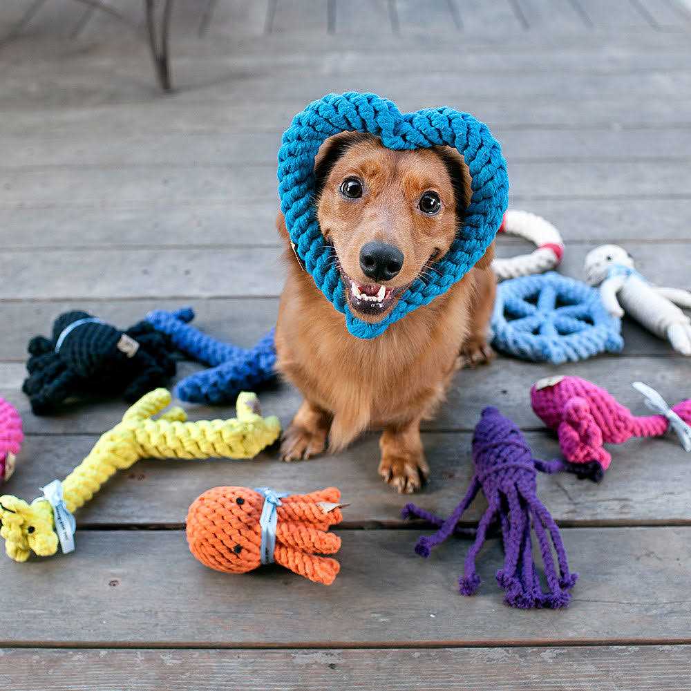 Rope Dog Toy H528077