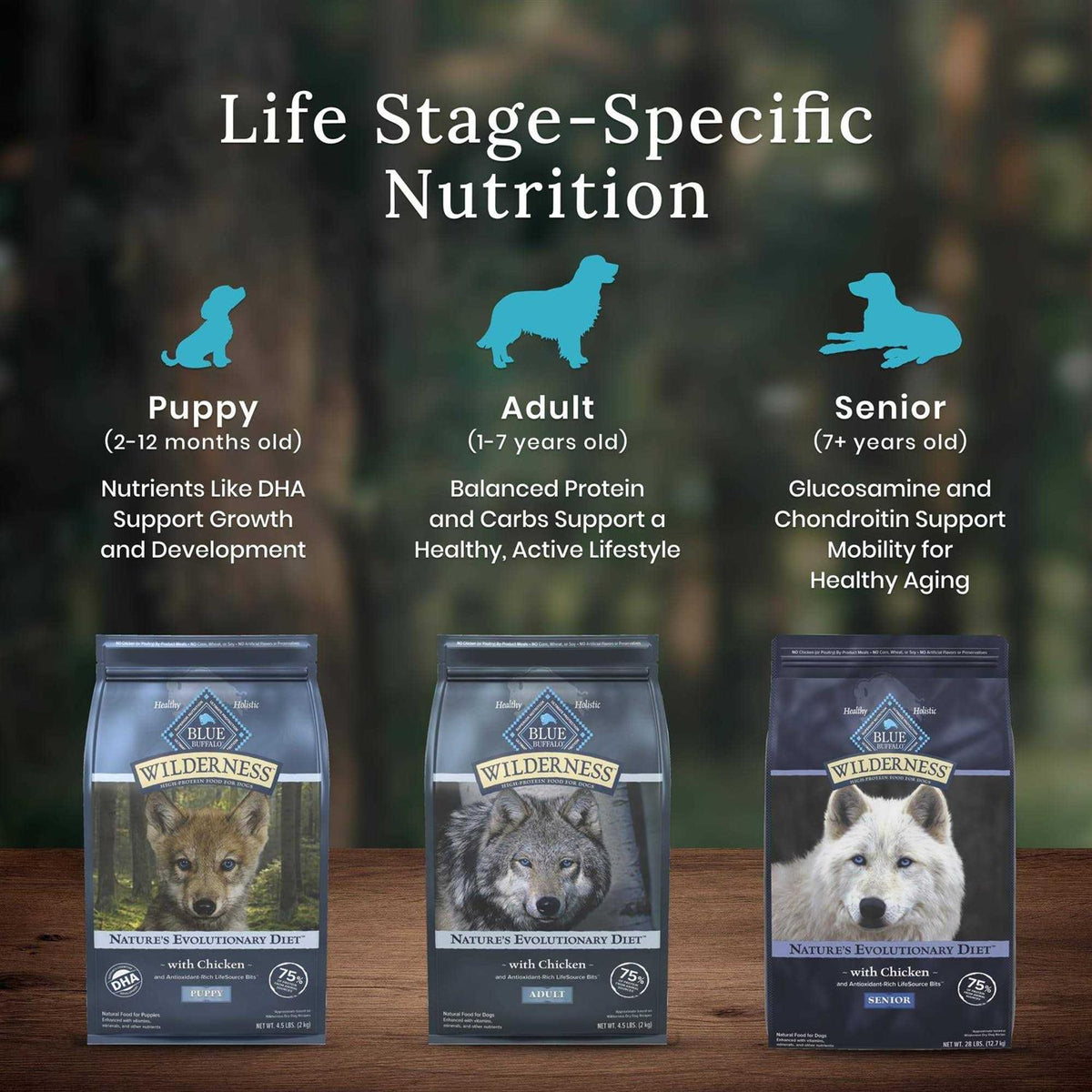 Chicken Senior Dry Dog Food Y855