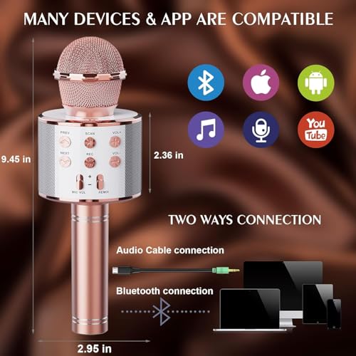 Wireless Bluetooth Karaoke Microphone 2 Pack Handheld Mic Speaker V867