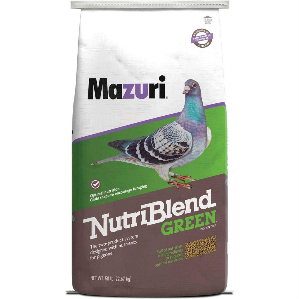 Green Pigeon Bird Food R3009