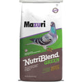 Green Pigeon Bird Food R3009