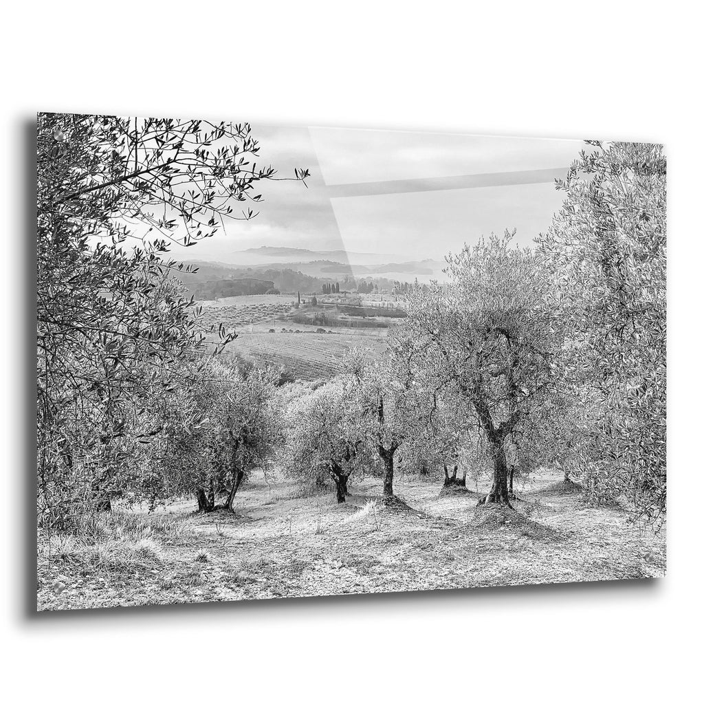 Acrylic Glass Wall Art 36"x24" U874