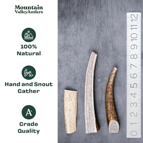 Mixed Species Antlers for Dogs 1 LB T127647