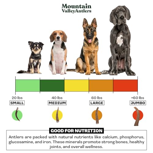 Mixed Species Antlers for Dogs 1 LB T127647