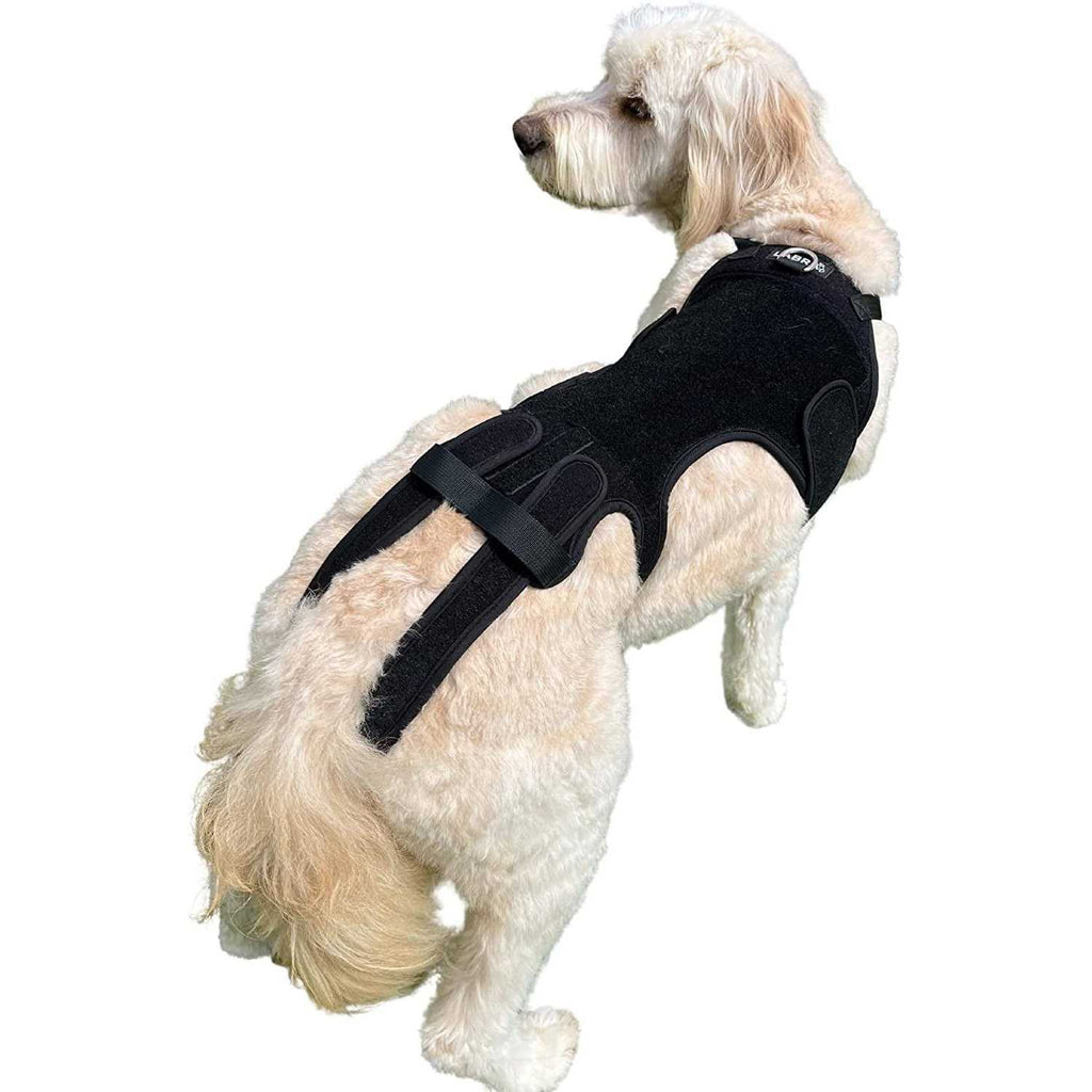 Dog Back Brace D193480