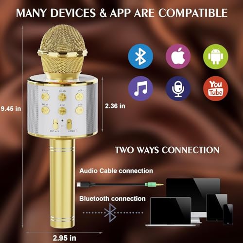 Wireless Bluetooth Karaoke Microphone 2 Pack Handheld Mic Speaker V867
