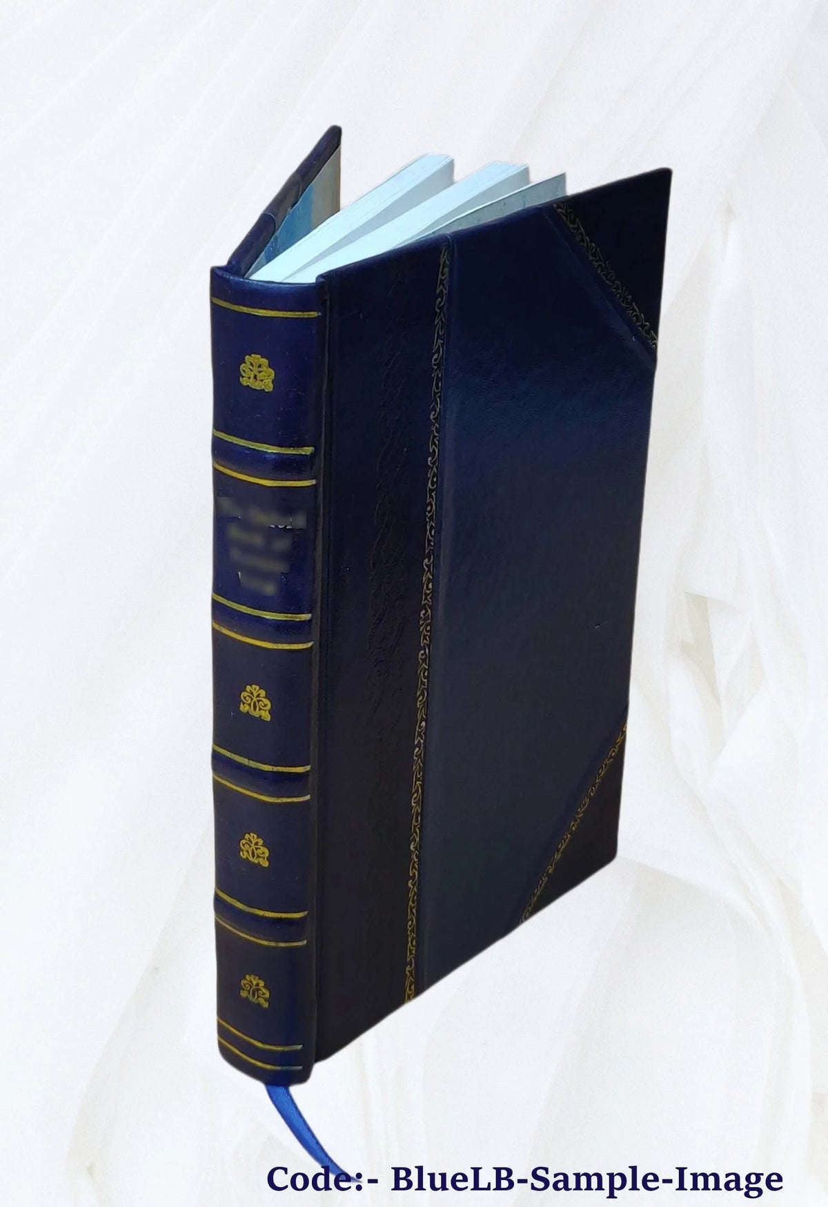 Britain's Lost Centuries Leather Bound H42056