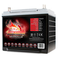 Group 25 AGM Battery U73900
