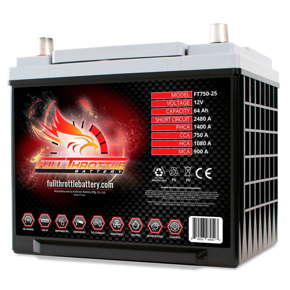 Group 25 AGM Battery U73900