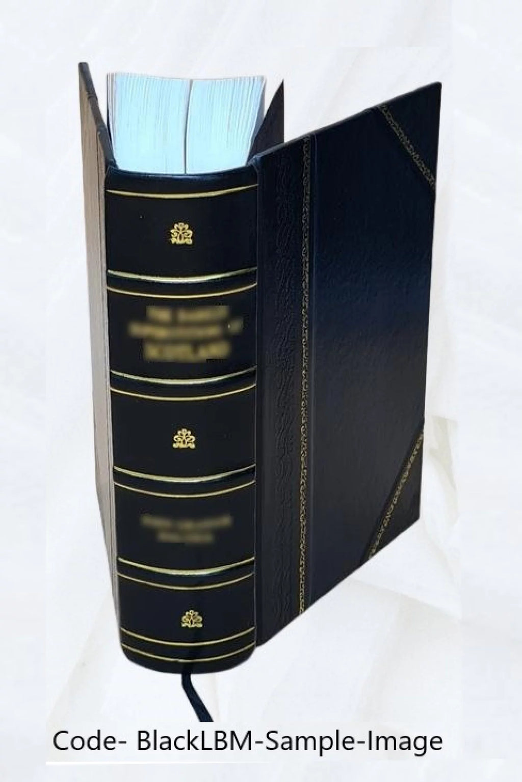 Calendar of State Papers Domestic Series Charles II Leather Bound E166297
