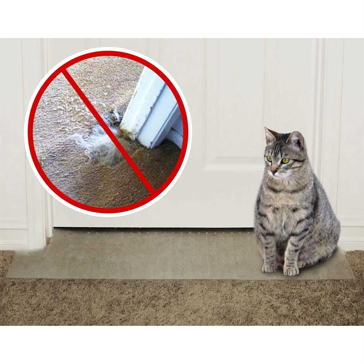 Carpet Scratch Stopper R621