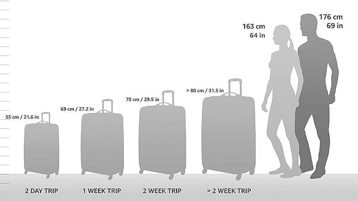 Polycarbonate Hardside 8 Spinner Wheels Carry-on 22-Inch Luggage I35603