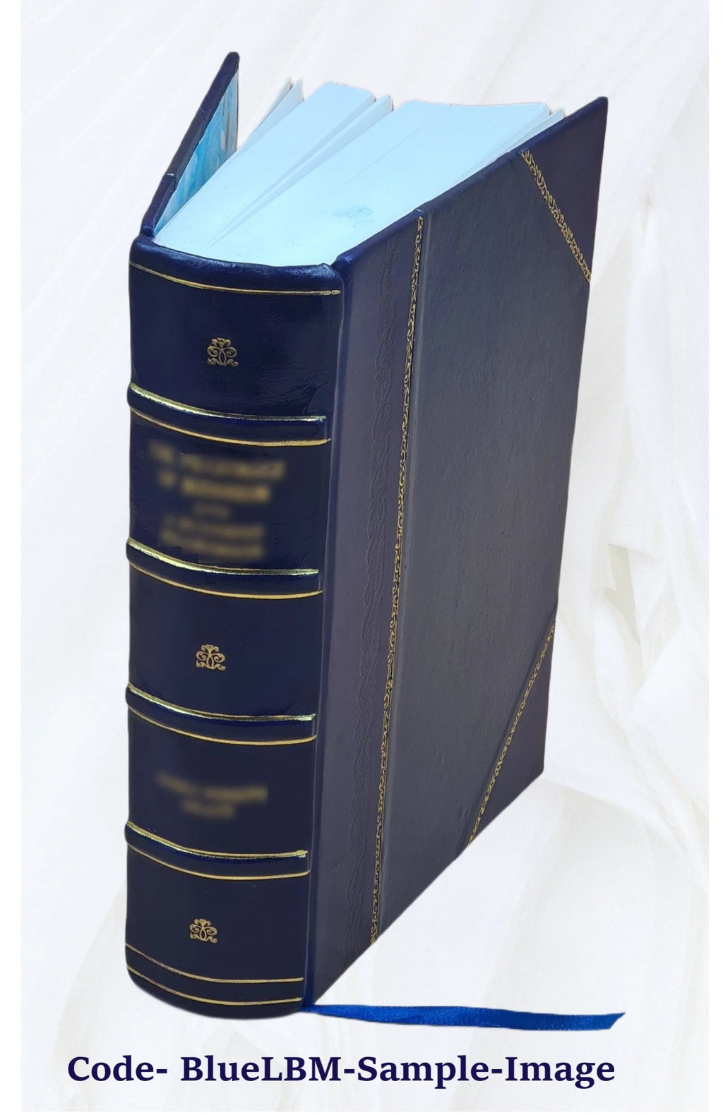 Calendar of State Papers Domestic Series Charles II Leather Bound E166297