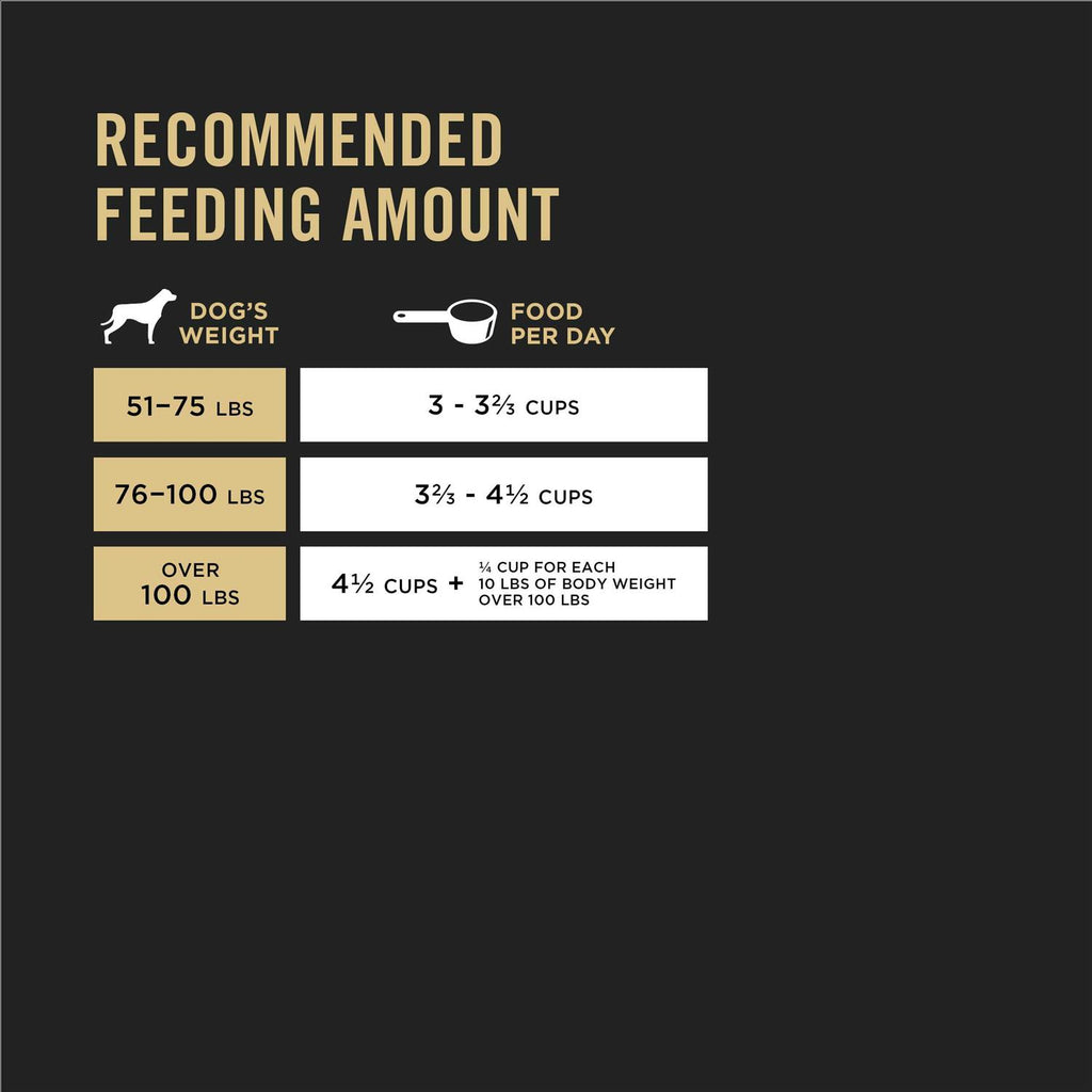 Chicken & Rice Formula Dry Dog Food Y365