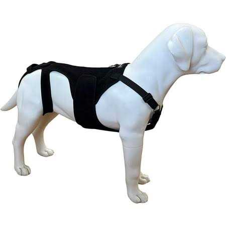Dog Back Brace D193480