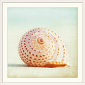 Photographic Print White Frame 20x22 P64128