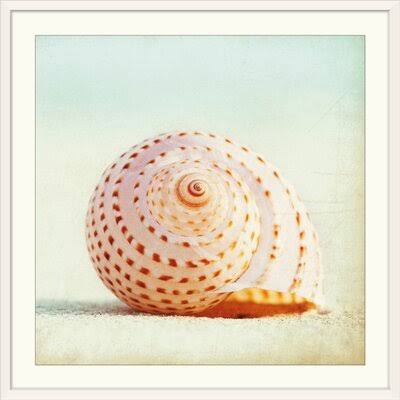 Photographic Print White Frame 20x22 P64128