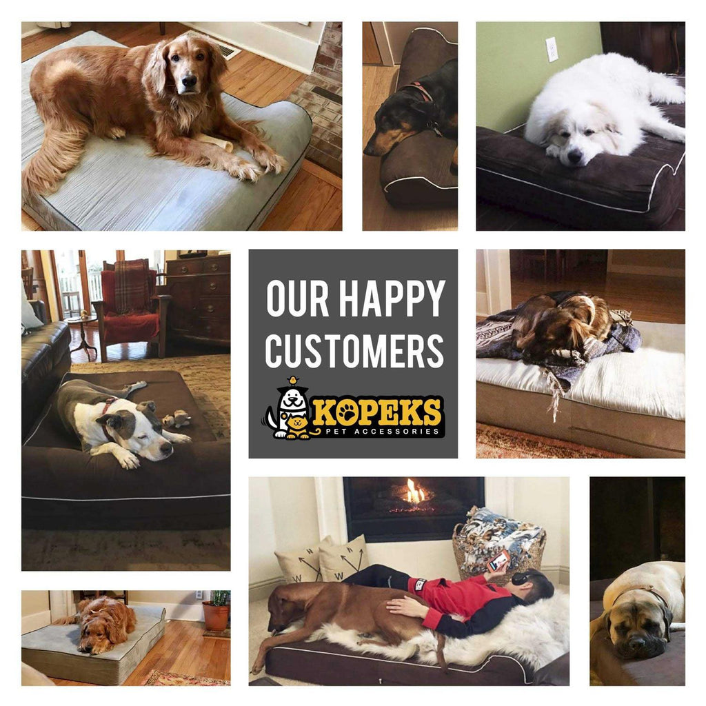 Dog Bed with Pillow Memory Foam P95480