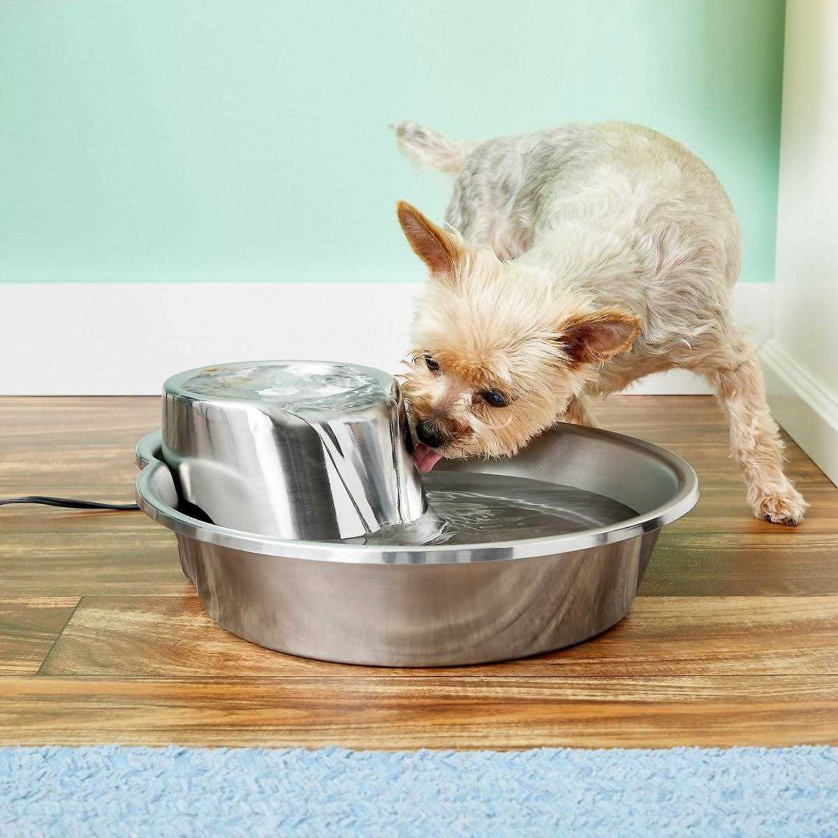 Stainless Steel Pet Fountain U9033