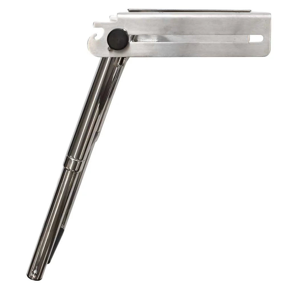 Telescoping Boat Ladder 2 Step Stainless P729495