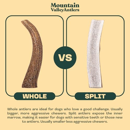 Mixed Species Antlers for Dogs 1 LB T127647