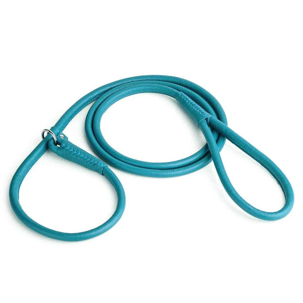 Leather Round Slip Lead T37037