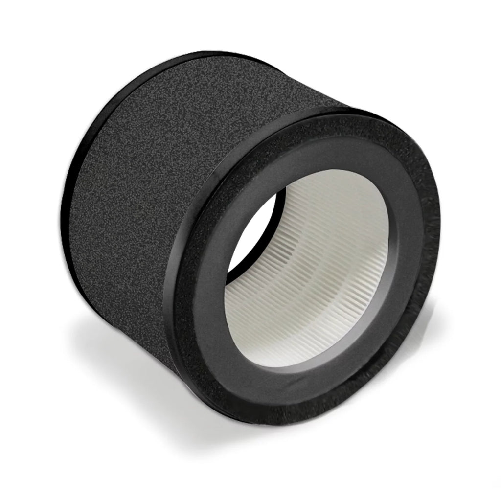 True HEPA Replacement Filter L146417