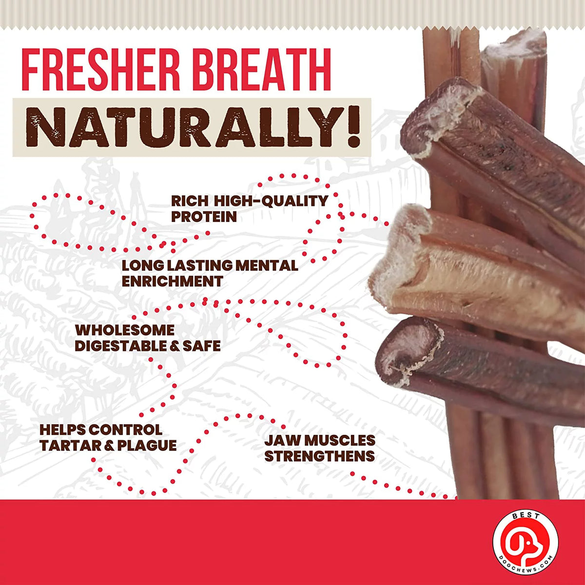 12 Inch 6 Count All Natural Grain Free Rawhide Free Beef Dog Chews D641