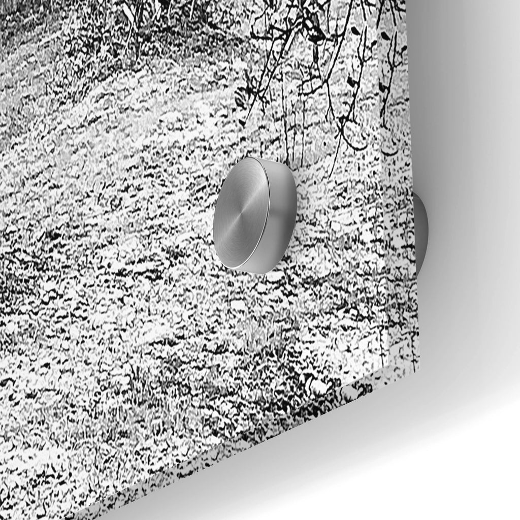 Acrylic Glass Wall Art 36"x24" U874