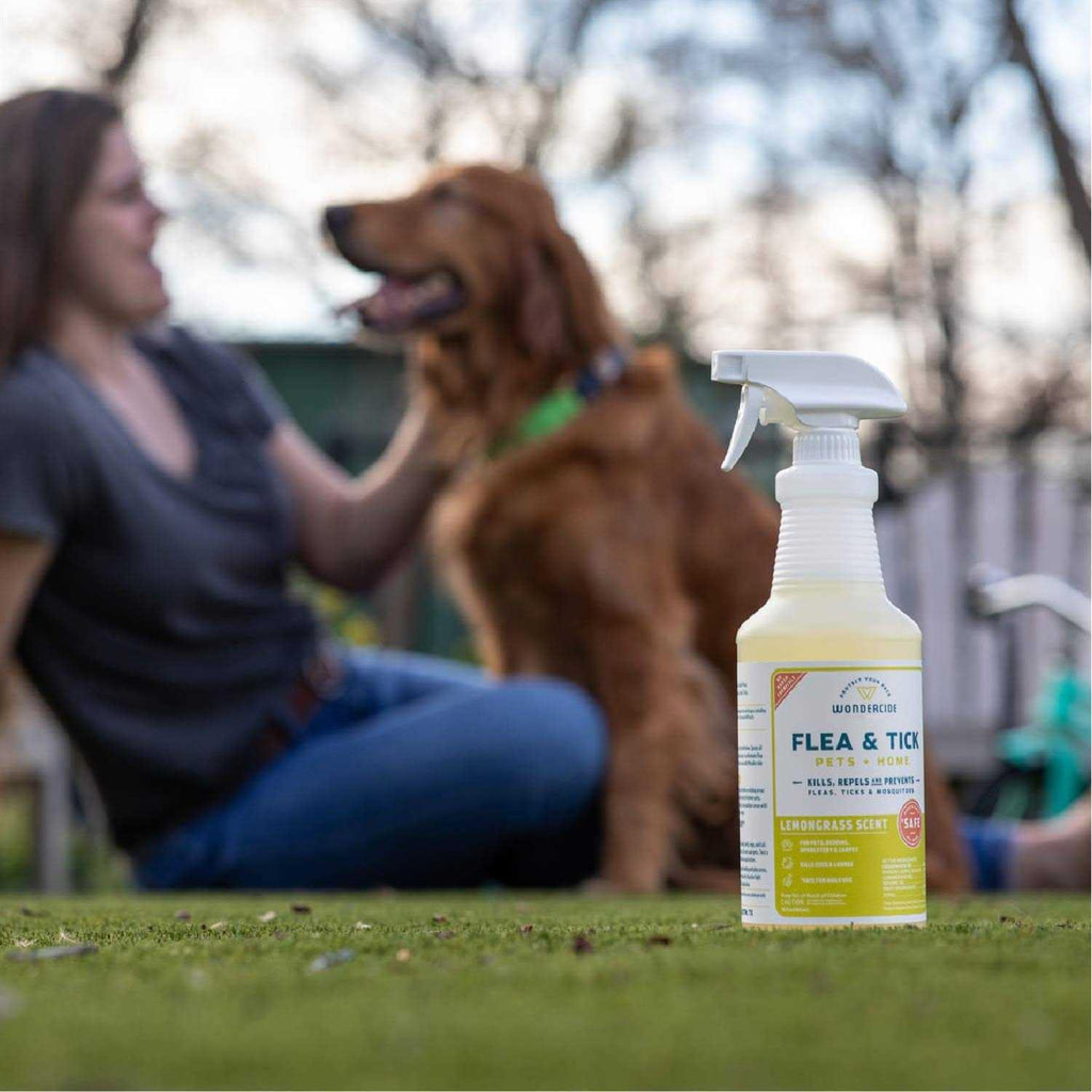 Flea & Tick Spray Pets Home Rosemary K80980