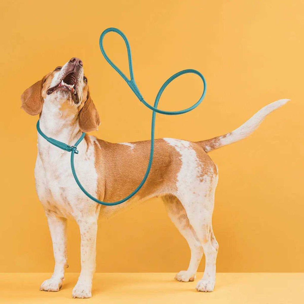 Leather Round Slip Lead T37037