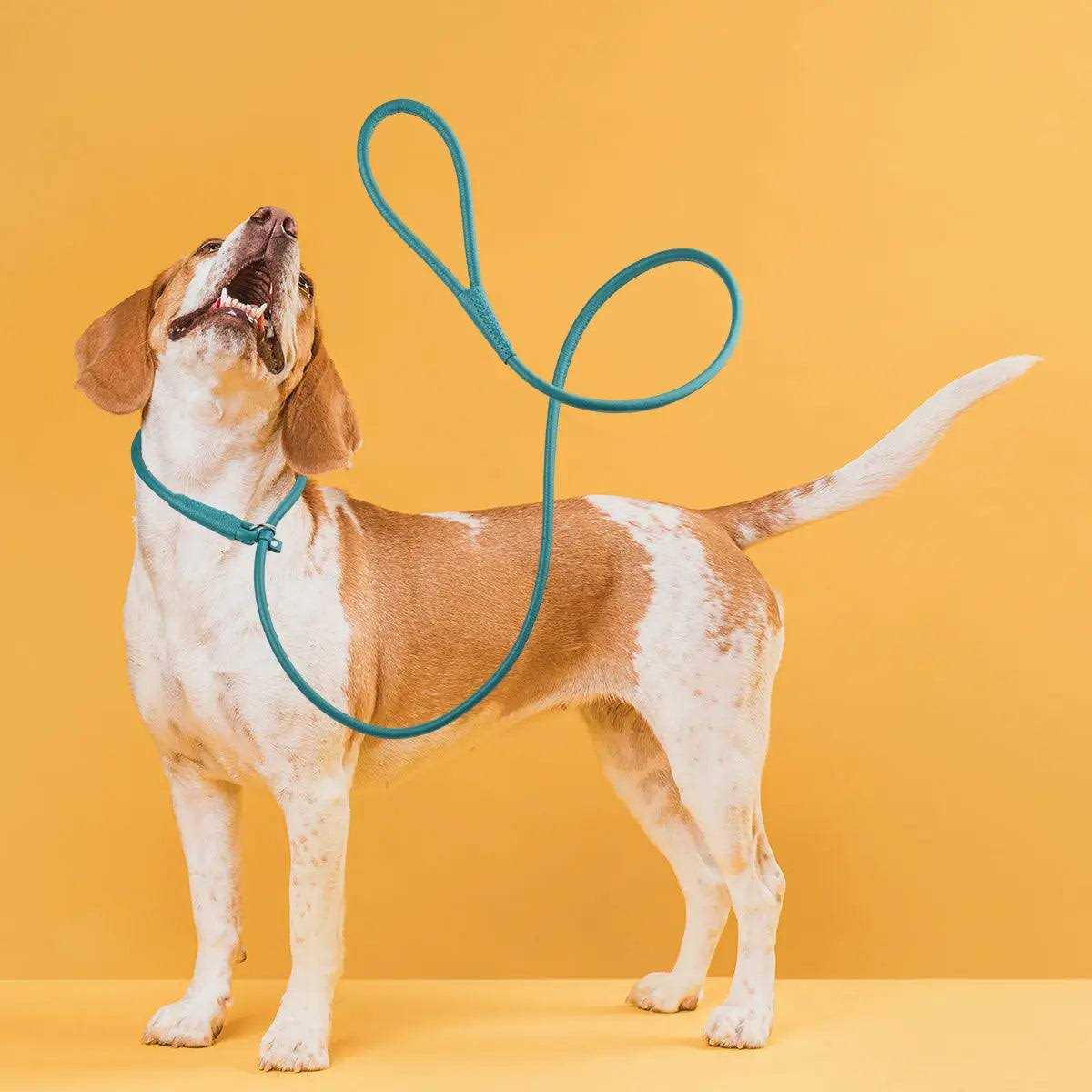Leather Round Slip Lead T37037