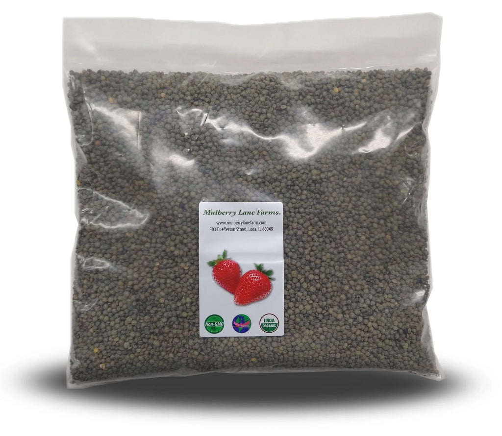 Organic French Green Lentils 10 lbs K44618