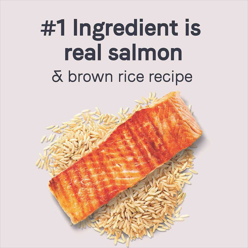 Salmon & Brown Rice Dry Dog Food O16765