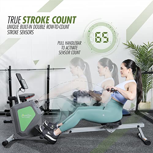 Compact Foldable Magnetic Rowing Machine C487