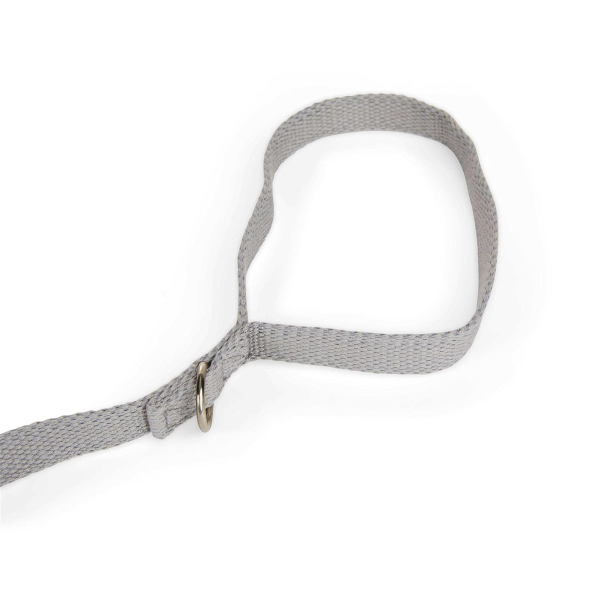 Adjustable Recall Training Dog Lead Z21693