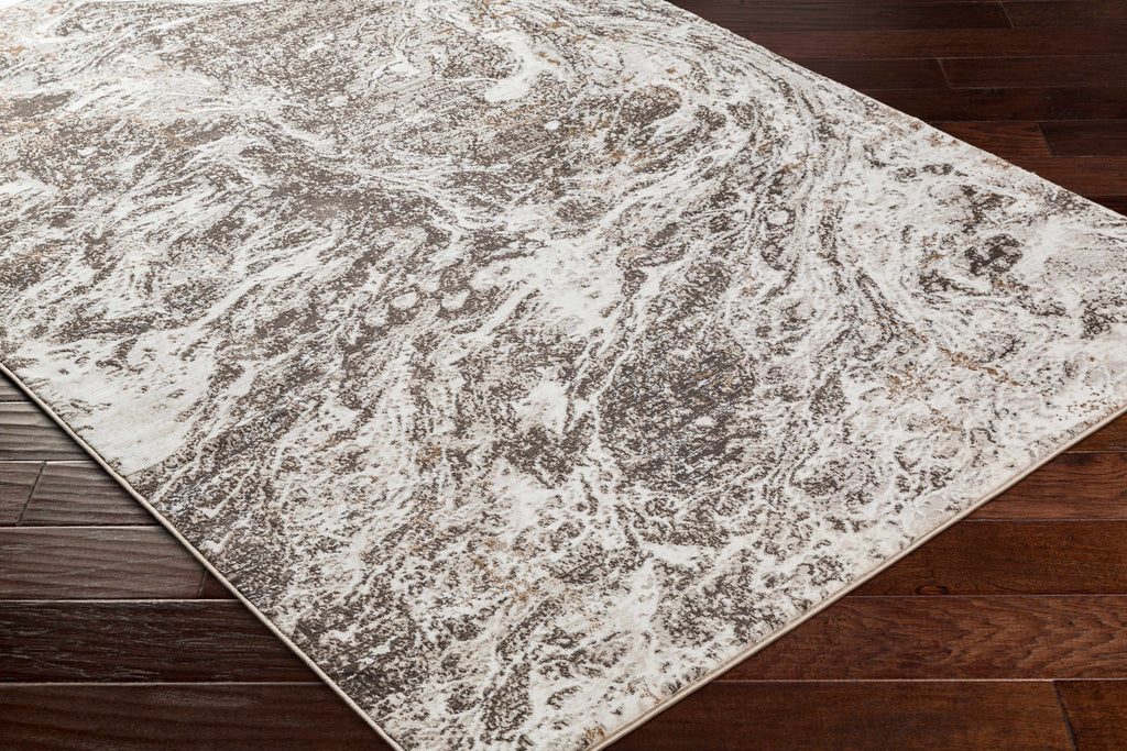 Gray Brown 9'2" x 12' Area Rug O1196
