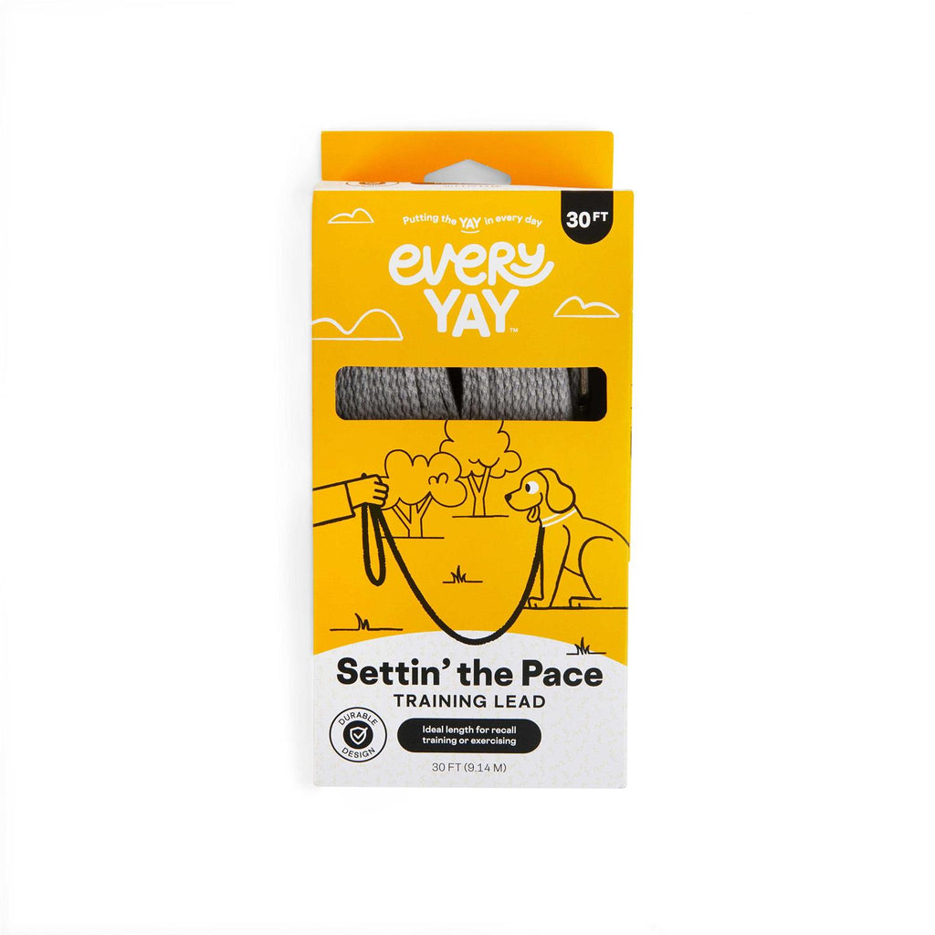 Adjustable Recall Training Dog Lead Z21693