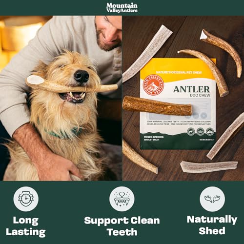 Mixed Species Antlers for Dogs 1 LB T127647