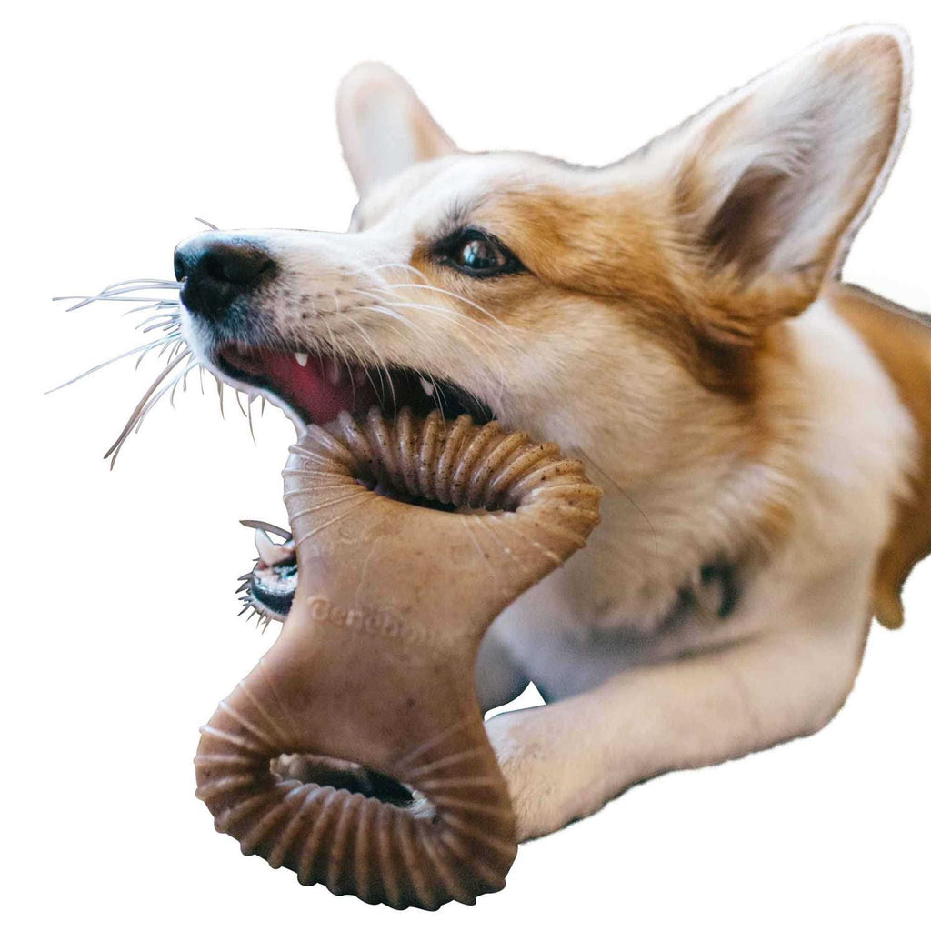 Dental Chew Dog Toy V1281