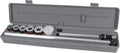 Universal Camshaft Bearing Tool N338