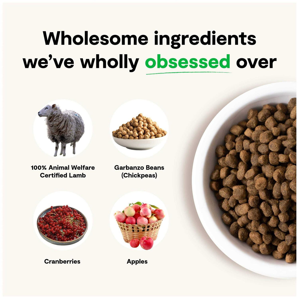 Grain-Free Pasture Raised Lamb Dry Dog Food G956