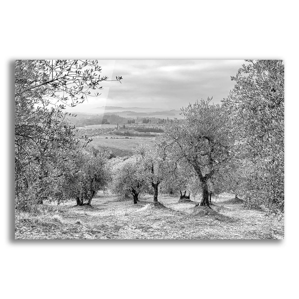 Acrylic Glass Wall Art 36"x24" U874